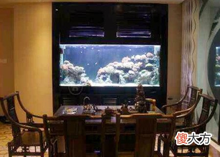 最旺财的风水吉祥物是什么
