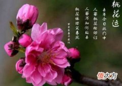 桃花运快速催旺的方法