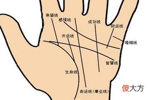 手相财运线怎么看