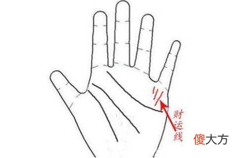 什么样的财运线最好