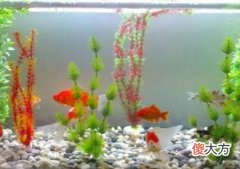 居家风水常见的催财禁忌
