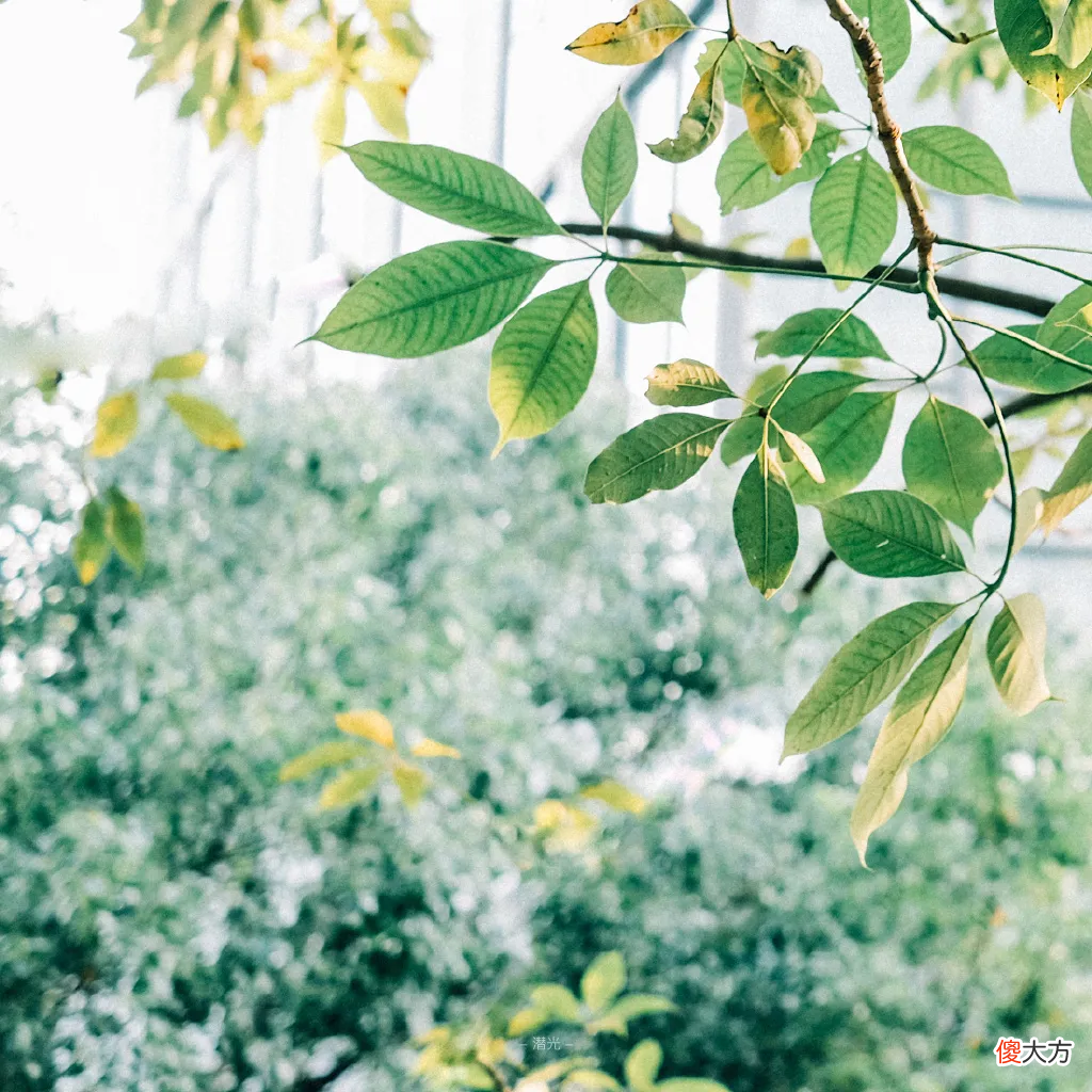摄影博主们都在用什么相机 摄影大师都用什么相机