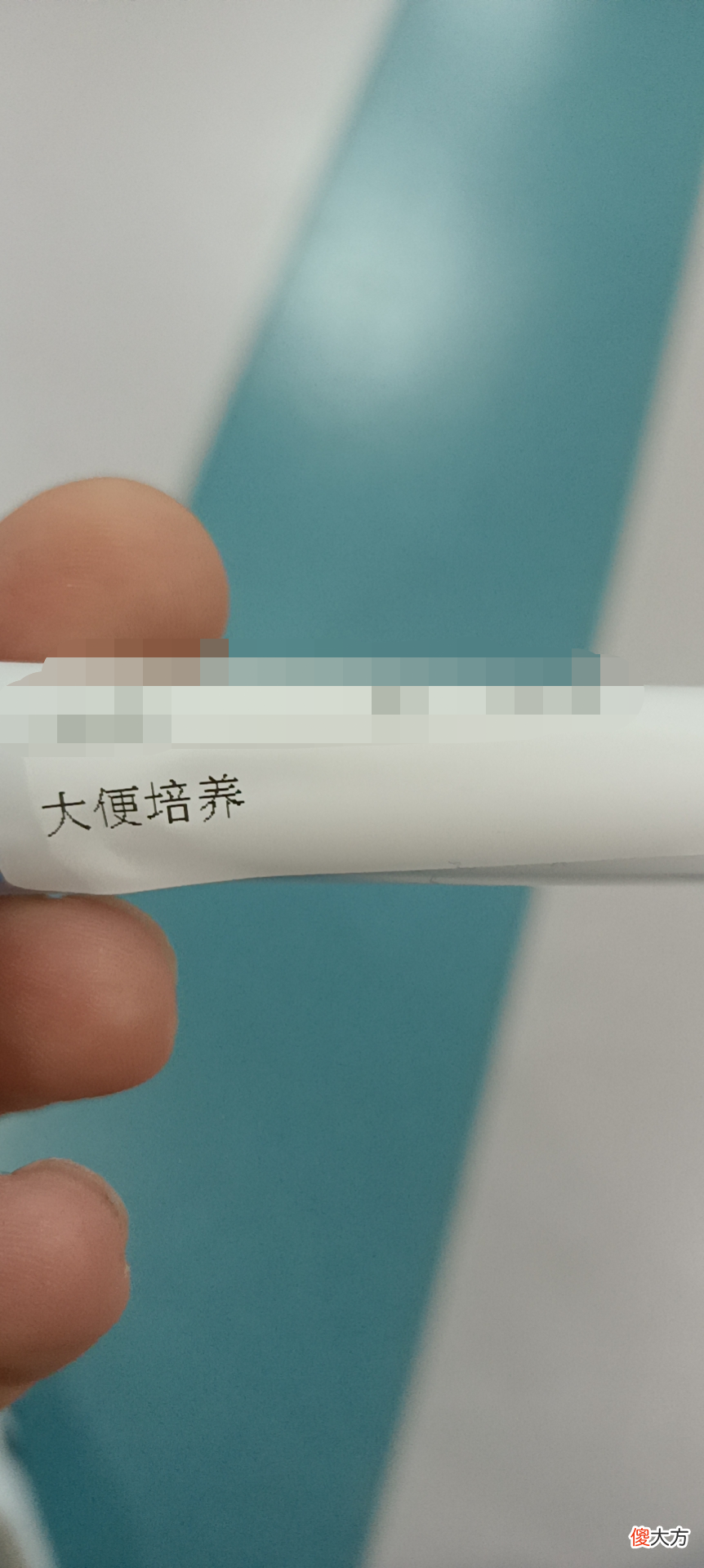 石家庄健康证怎么办理 石家庄健康证怎么办理,需要什么材料