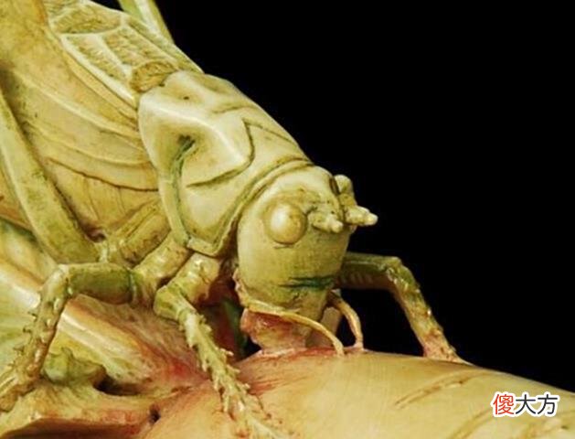 【爱历史】大叔拿“萝卜”上节目，专家双手颤抖：媲美“国宝”，却不敢估价