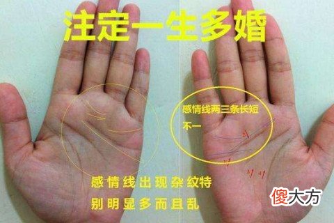 离婚女人手相算命图解