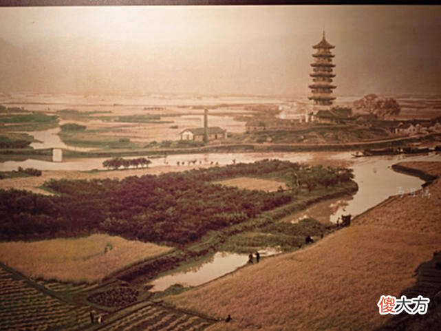 【爱历史】默默无闻的温州博物馆，为何跻身中国一级博物馆？古塔文物功不可没