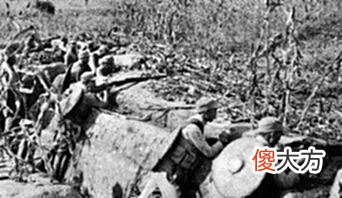 【爱历史】台儿庄一战，我军阵亡5万多人，日方牺牲多少？说了你可能不信