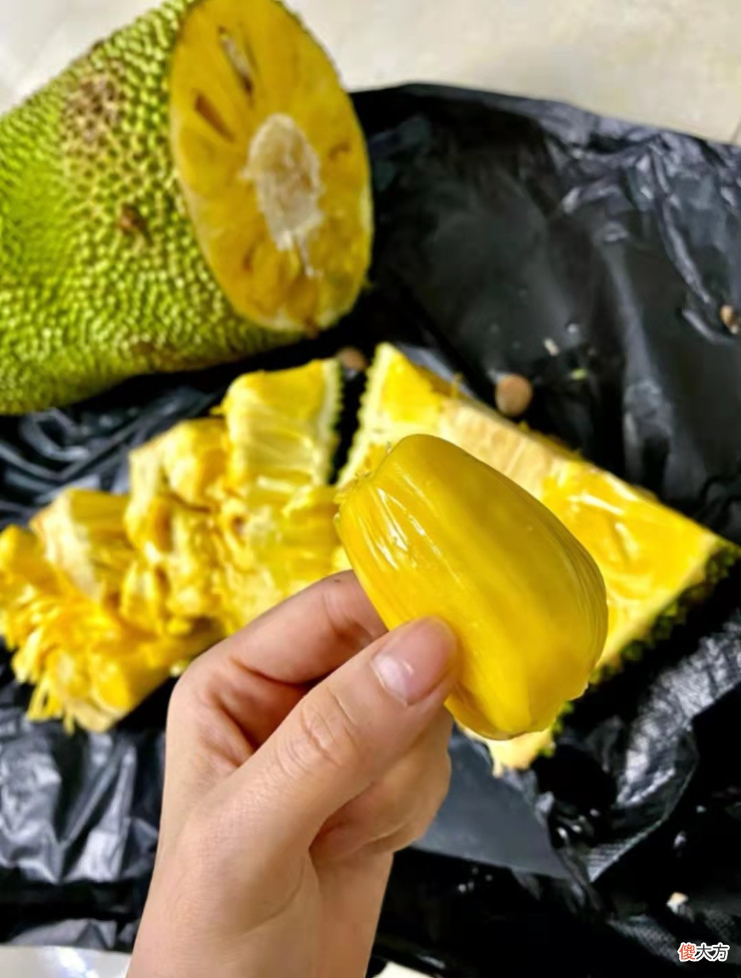 菠萝蜜的正确打开方式你知道吗 菠萝蜜的怎么打开方式