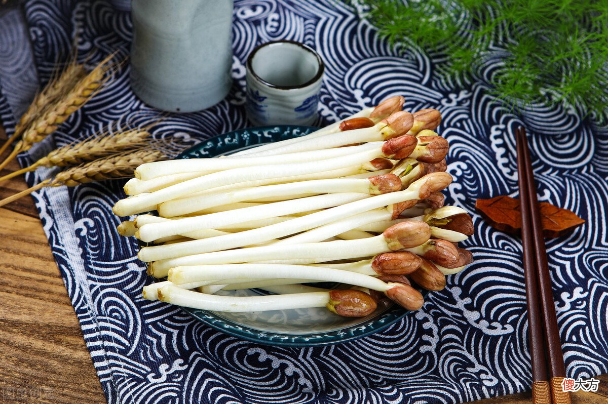 食物发芽后有剧毒不能吃 发芽后食用会中毒