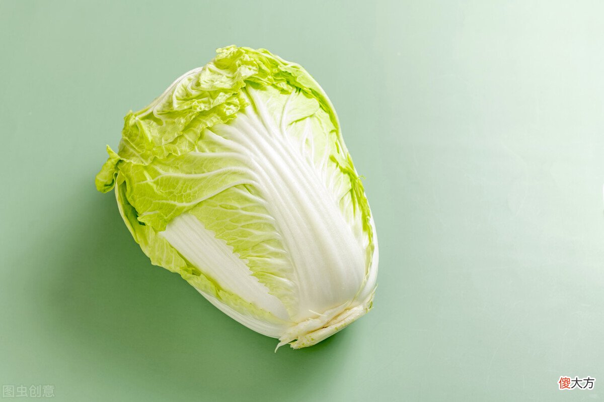 食物发芽后有剧毒不能吃 发芽后食用会中毒