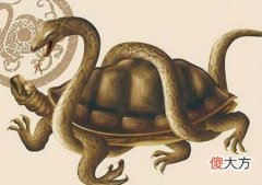 如何正确摆放达到财源广进的效果
