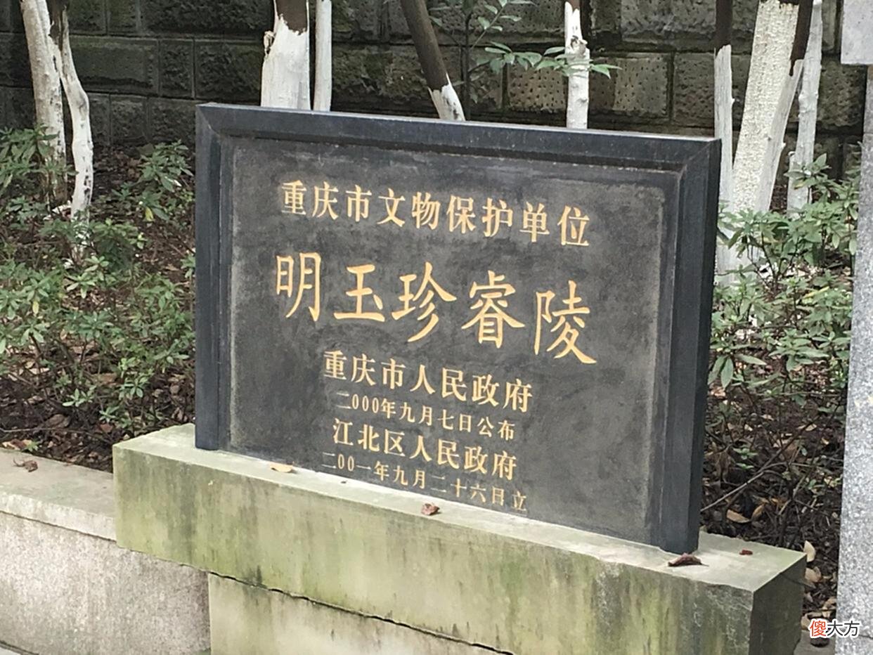 【历史故事】明夏政权为何短命，除了朱元璋太强大外，其内部原因有哪些