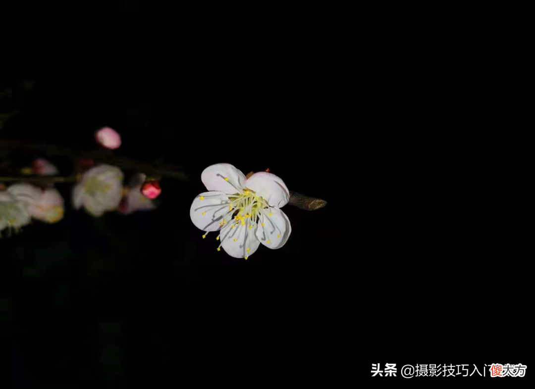手机拍照技巧 手机拍照技巧图解