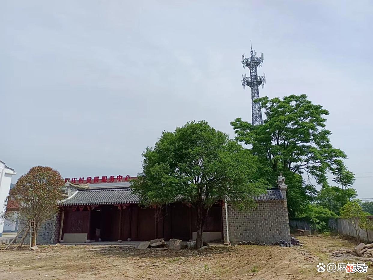 【历史故事】仙居县下底垟，被地名志遗忘的村落，五马会朝图还原南宋史实