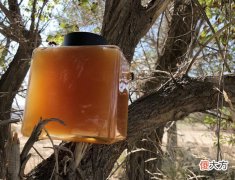 六个月宝宝可以喝蜂蜜水吗 六个月宝宝能不能喝蜂蜜水?