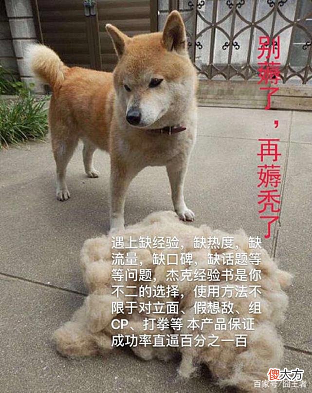 【游戏世界】MSI季中赛：国产中单相继出事，网友说最纯粹的选手还得看Faker
