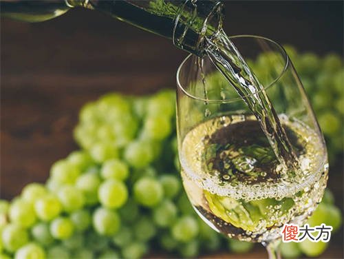 什么葡萄酒适合陈年 怎么判断葡萄酒适合陈年