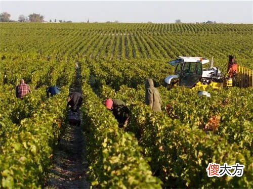 贵阳喝红酒哪里环境好 贵阳都有什么酒品牌