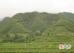 如何看阴宅风水宝地