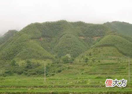 如何看阴宅风水宝地