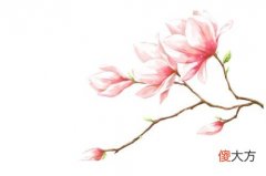属兔人的桃花贵人是谁