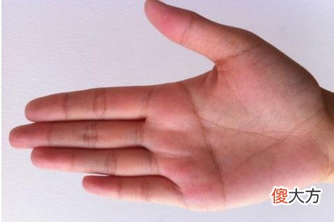男人断掌好吗