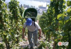 红酒加盟怎么联系 如何开家经销红酒的店