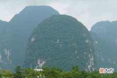 杨公五吉星成穴论断要诀