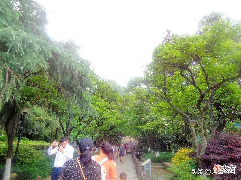 重温西湖的美 讲一讲西湖之美