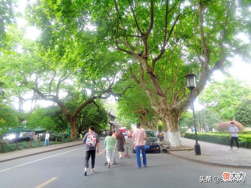 重温西湖的美 讲一讲西湖之美
