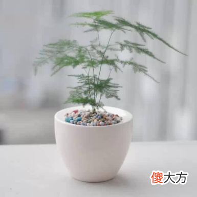 适合送教师的礼物有哪些 适合给教师送的礼物