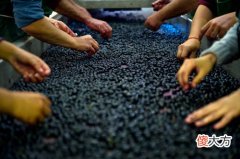 波尔多红酒值得投资吗 法国波尔多红酒口感怎么样