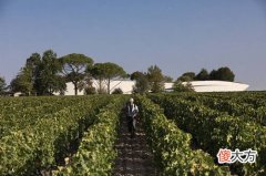 红酒是一种品味 红酒的魅力