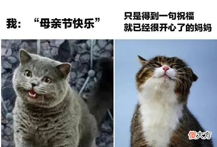 妈，你够了！