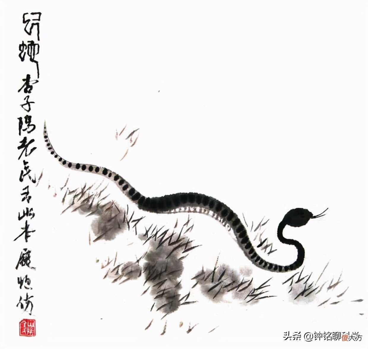 蛇冬眠有多危险？浑身僵硬一动不动，被老鼠啃食也无法逃生