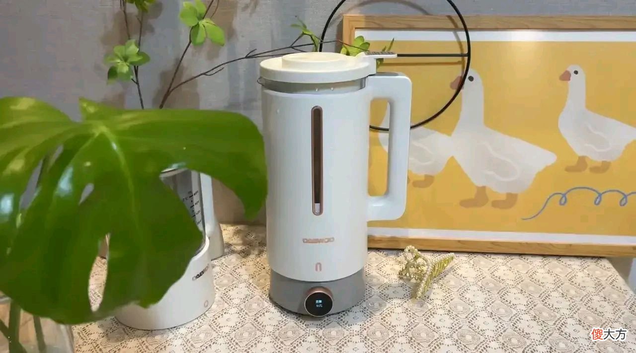 我家每天都要用的6件实用电器 家庭用的电器一般都有什么