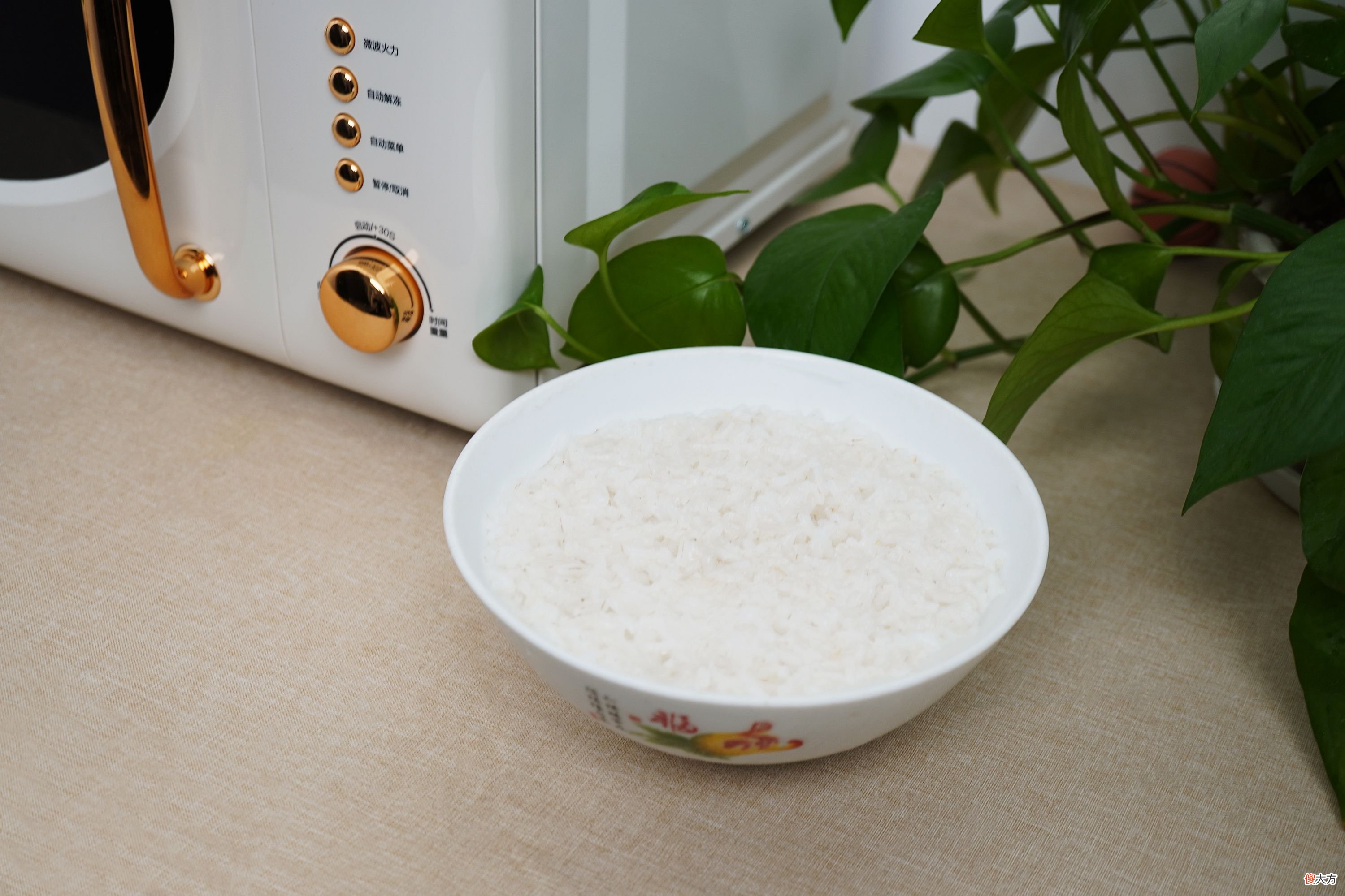 现在的微波炉还能做这么多你知道吗 微波炉还能做什么