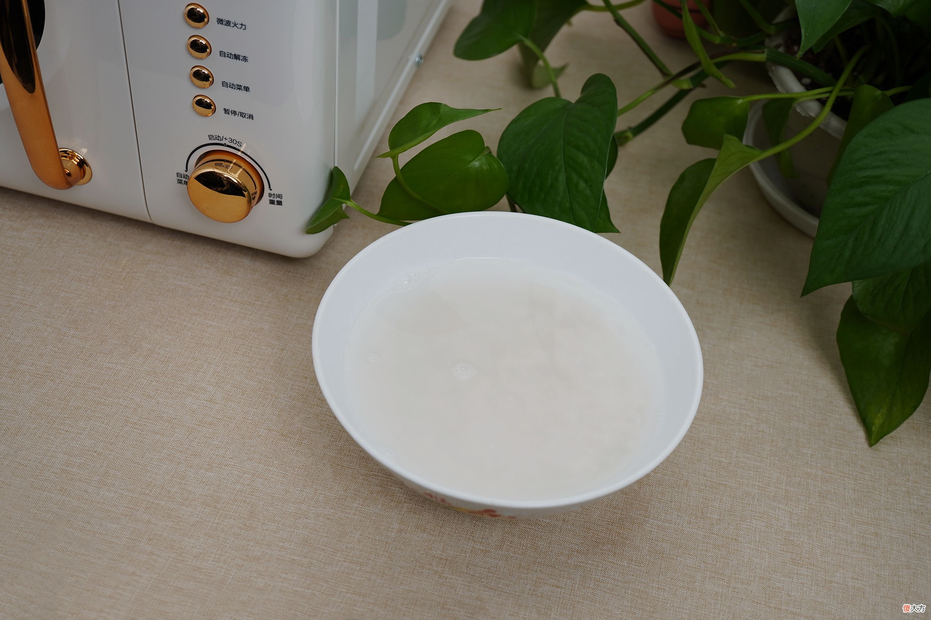 现在的微波炉还能做这么多你知道吗 微波炉还能做什么