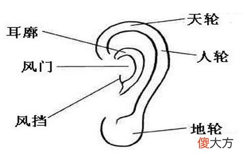 耳朵小的男人会有福气吗