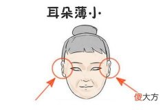 耳朵小的命运如何