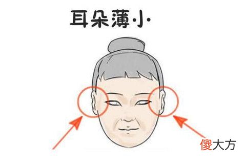 耳朵小的命运如何
