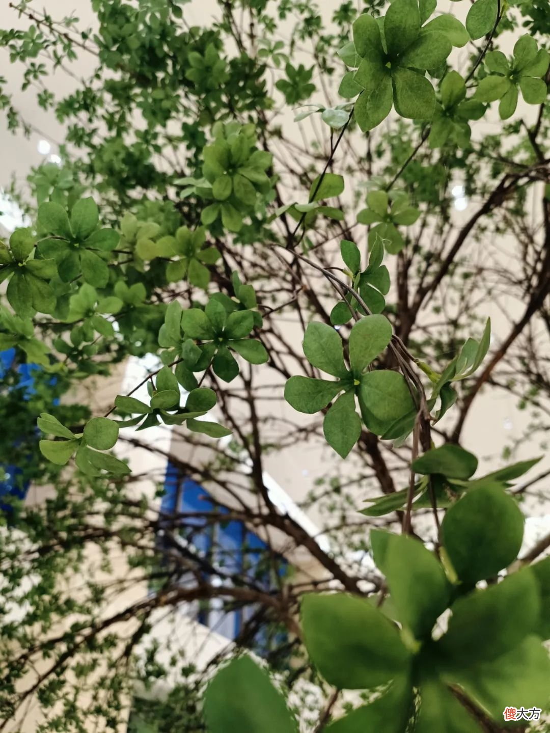 安卓机里手感更好的直边中框手机 直边中框手机有哪些