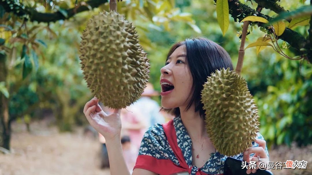 真正的榴莲自由！四川妹子疫情间逛泰国榴莲园，现摘现吃停不了嘴