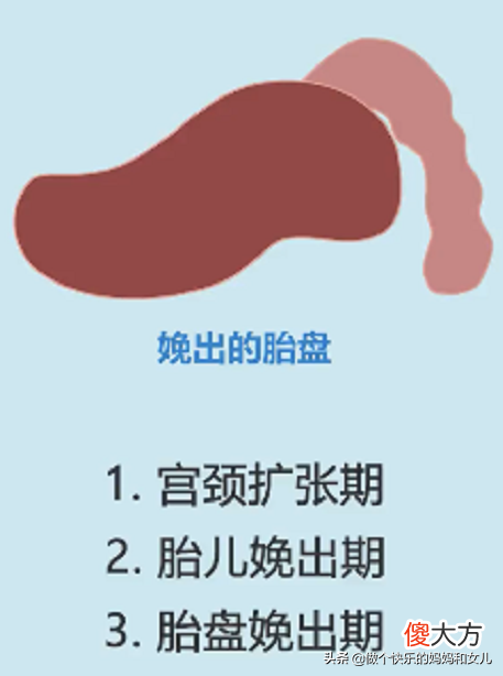喝蜂蜜水能加快产程 喝蜂蜜水可以加快生产吗