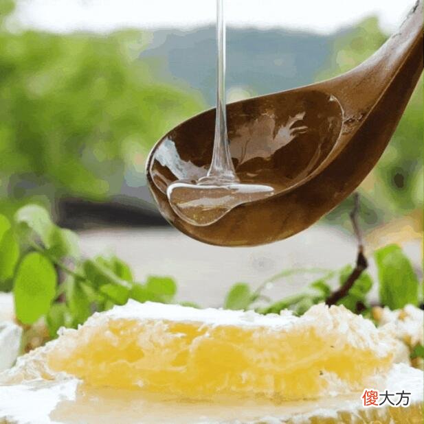 14岁女孩能喝蜂蜜吗 14岁小孩能喝蜂蜜吗