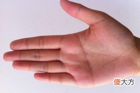 断掌纹的男人好不好