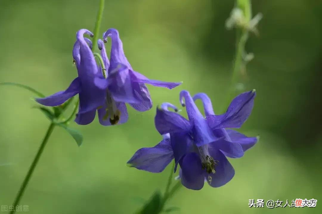 照顾病危的老人 如何照顾病危老人