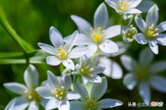 照顾病危的老人 如何照顾病危老人