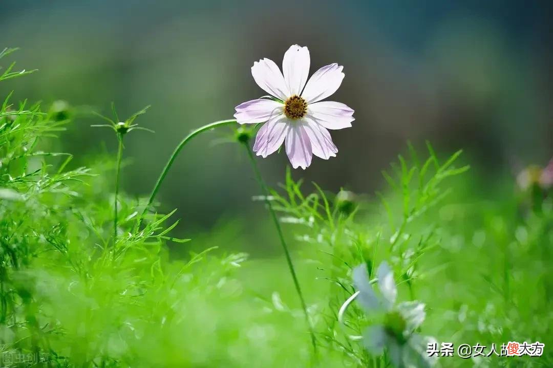 照顾病危的老人 如何照顾病危老人