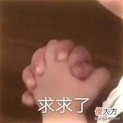 穿山甲的自白 一只穿山甲的自白